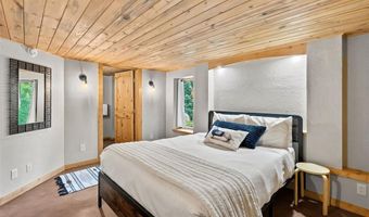 239 Sherwood Ln, Breckenridge, CO 80424