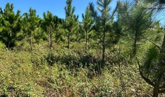 00 50th Ave, Bell, FL 32619