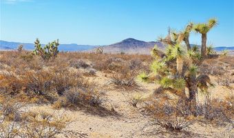 Lake Havasu Acres lot 166, Yucca, AZ 86438