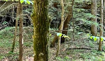 Coperas Cave Branch, Beattyville, KY 41311