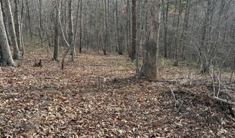 Lime Plant Road lot 6, Appomattox, VA 24522