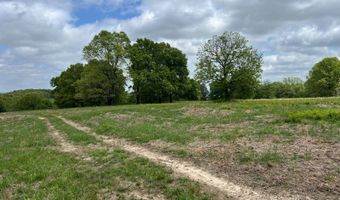 Co Rd 321 Route 5, Ava, MO 65608