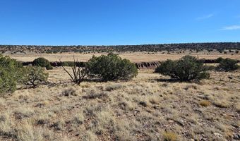 45 N 8579, Concho, AZ 85924