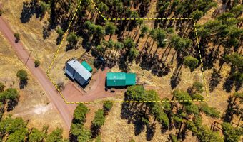 17 County Road 2114, Alpine, AZ 85920