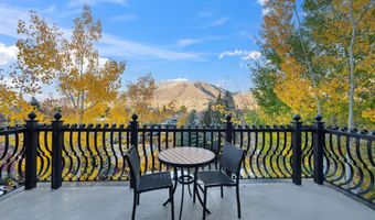 415 E Dean St. Unit 31 Week 11, Aspen, CO 81611