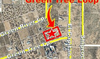 2060 Green Tree Loop, Chaparral, NM 88081