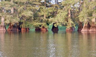 Bolivar Road, Benoit, MS 38725