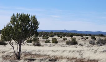 644 Cortez Ranch Rd, Ash Fork, AZ 86320