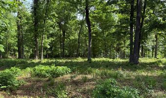 Lakeshore Drive lot 3, Bainbridge, GA 39819