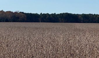 FOLLY CREEK RD lot C D, Accomac, VA 23301