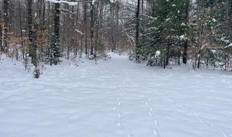 9606 Munger Rd, Afton, MI 49705