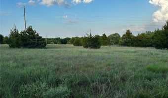 County Street 2870 2, Chickasha, OK 73018