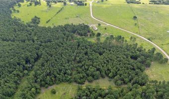 6779 County Road 215, Anderson, TX 77830