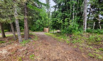 13376 Bug Creek Rd, Bigfork, MT 59911