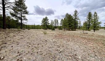 99 Big Notch Forest Trl, Bluewater, NM 87005