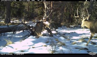 Spanish Peaks Dr, Aguilar, CO 81020
