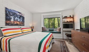 332 VINE St, Aspen, CO 81611