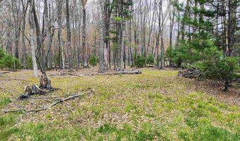 1120 Bighorn Dr, Arkdale, WI 54613