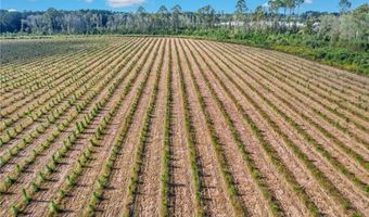 Tract 18 Sellers Road NW, Baxley, GA 31513