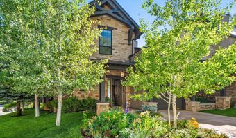 102 Wild Spring Ln, Basalt, CO 81621