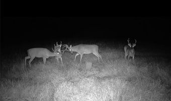 Tract C BOOMERANG Road lot Tract, Amite, LA 70422