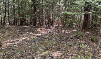 Lot 20 -20.3 Farr Road Lot 20-Lot 20.3 Farr Rd and Lot 11-11-1 Brook St, Chesterfield, NH 03466