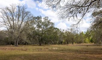 3670 NW 20TH Ave, Bell, FL 32619