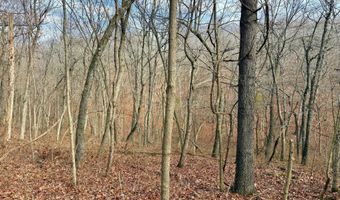 Farm Rd 1187 Lc, Ash Grove, MO 65604