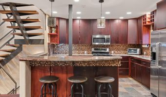 650 S Monarch St 4, Aspen, CO 81611