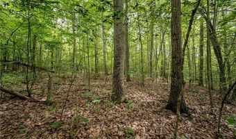 County Road 2, Addison, NY 14801