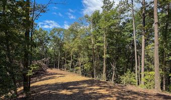 4 Black Rock Trl 4, Andrews, NC 28901