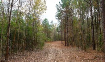 00002 Trickhambridge Rd, Brandon, MS 39042