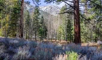 240 Forest Hill Way, Gardnerville, NV 89460