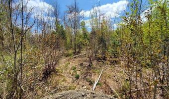 Lot # 2 Cone Road, Amity, ME 04471