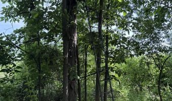 28 Mile Rd, Albion, MI 49224