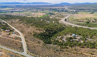 Lot 6 Nieman Road, Arroyo Hondo, NM 87513