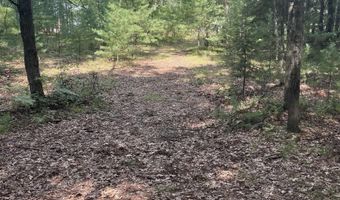 Eagle Nest Lane, Alger, MI 48610