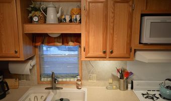 6672 San Juan #80, Alanson, MI 49706
