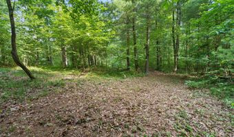 1125 39th St, Allegan, MI 49010