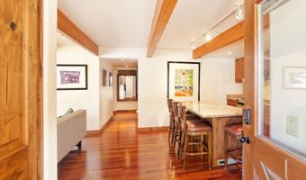 630 E Cooper Ave 1, Aspen, CO 81611