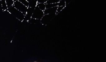 4775 S 50th Rd, Aldrich, MO 65601