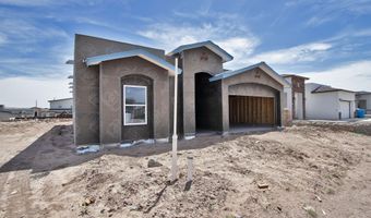 12041 Iron Hollow St, Socorro, TX 79927