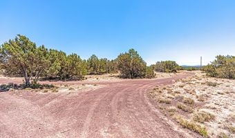 688 Stanford Dr, Concho, AZ 85924