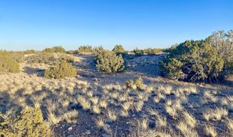 Tbd Co Rd 5062 2.39 Acres, Concho, AZ 85924