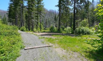91303 BLUE RIVER Rd, Blue River, OR 97413