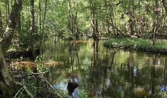 247 Horseshoe Trl, Barnwell, SC 29812
