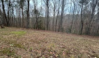1089 Damascus, Ball Ground, GA 30107