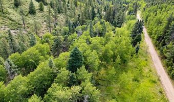 County Rd 46, Aguilar, CO 81020