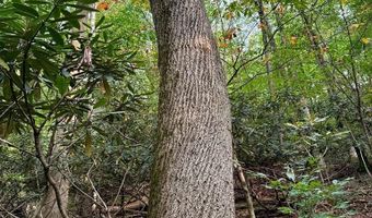 Conover Ln, Atkins, VA 24311