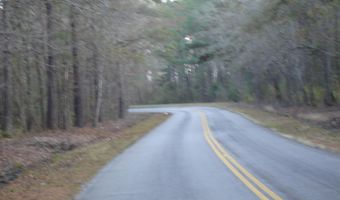 5563 Mauss Hill Rd, Adams Run, SC 29426